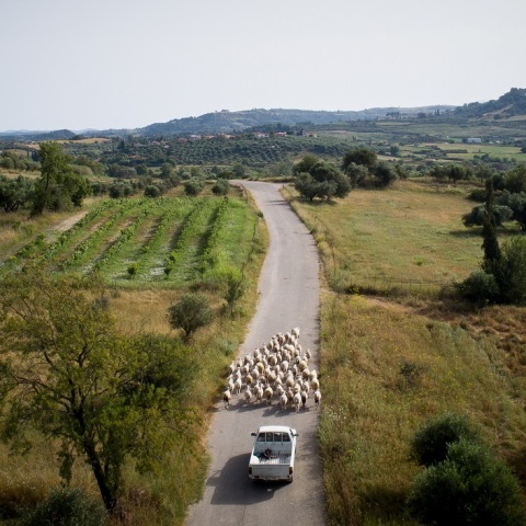 Χωράφια-Κλιματική Αλλαγή