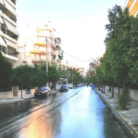 Στην περιοχή του Βοτανικού βρέθηκαν σήμερα τα συνεργεία του Δήμου Αθηναίων, στο πλαίσιο των τακτικών παρεμβάσεων καθαριότητας