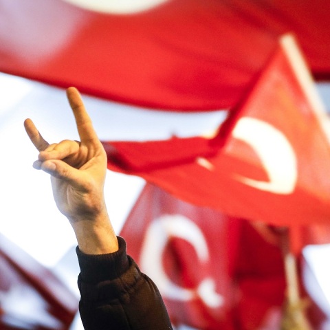 Γκρίζοι Λύκοι-Τουρκία