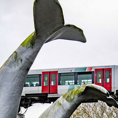 Γλυπτό σε σχήμα φάλαινας ανέκοψε την πορεία τρένου που εκτροχιάστηκε στο Ρότερνταμ