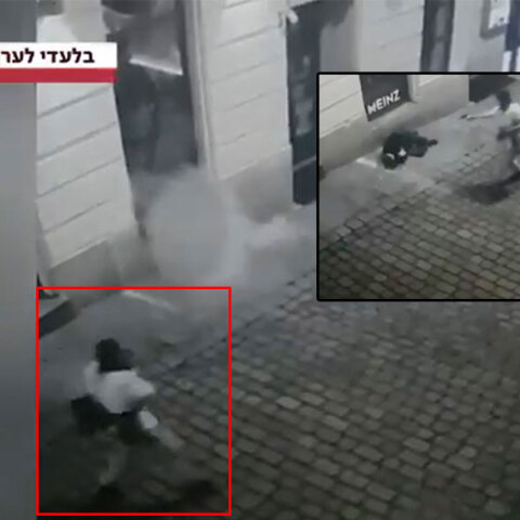 Ένοπλος εκτελεί εν ψυχρώ περαστικό στη Βιέννη