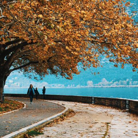 Χ. Μηλιώνης