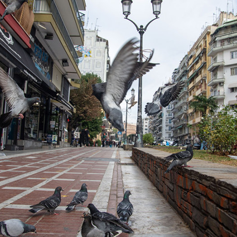 ΣΤΙΓΜΙΟΤΥΠΑ ΑΠΟ ΤΗΝ ΘΕΣΣΑΛΟΝΙΚΗ 