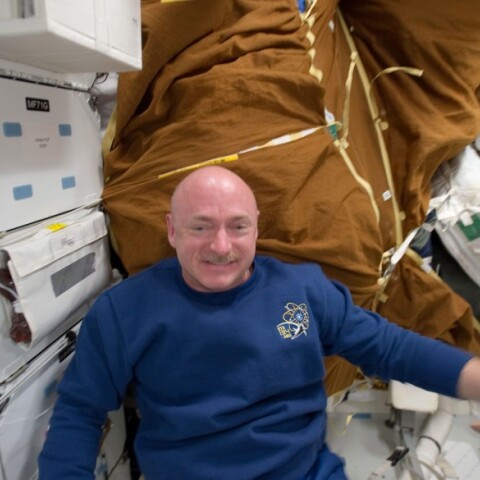 Ο Μαρκ Κέλι