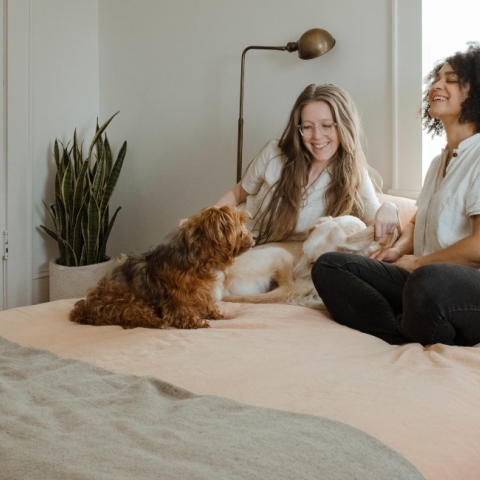 Τα Ζώδια της Παρασκευής 6 Νοεμβρίου 2020: Οι ημερήσιες αστρολογικές προβλέψεις από την Ευαγγελία Τσαβδάρη.