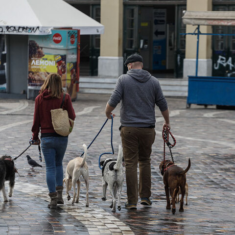 Βόλτα με τα κατοικίδια την πρώτη ημέρα εφαρμογής του καθολικού lockdown