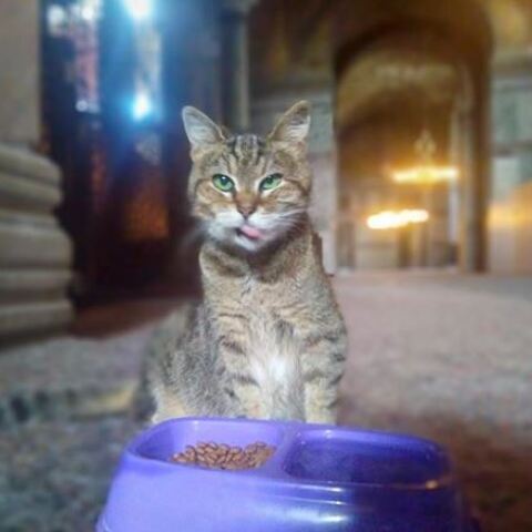 hagia-sofia-gata.jpg