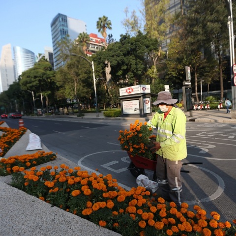 Εργαζόμενος σε δρόμο του Μεξικό