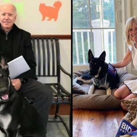skilia-biden.jpg