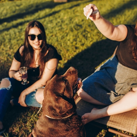 Τα Ζώδια της Τετάρτης 11 Νοεμβρίου 2020: Οι ημερήσιες αστρολογικές προβλέψεις από την Ευαγγελία Τσαβδάρη.