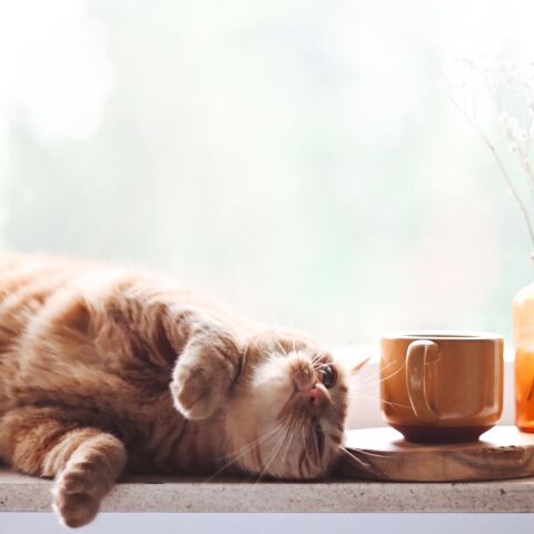 5 συμβουλές για να τα καταφέρεις σε αυτή την καραντίνα