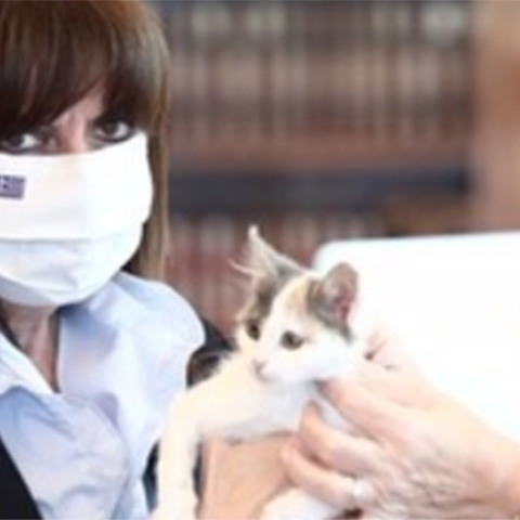 Η Κατερίνα Σακελλαροπούλου υιοθέτησε ένα αδέσποτο γατάκι 