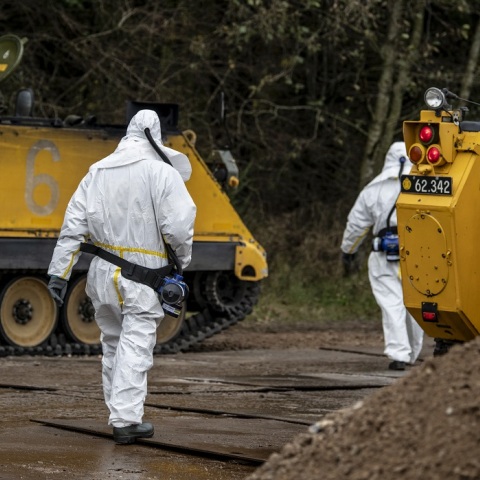 Θανάτωση μινκ