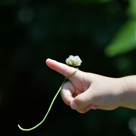 Ευρωπαϊκή Εβδομάδα για την Κυστική Ίνωση15-21 Νοεμβρίου