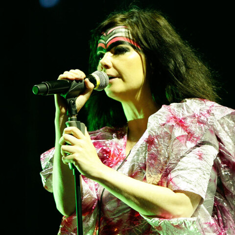 Στιγμιότυπο από τη συναυλία της Bjork στην Αθήνα το 2008