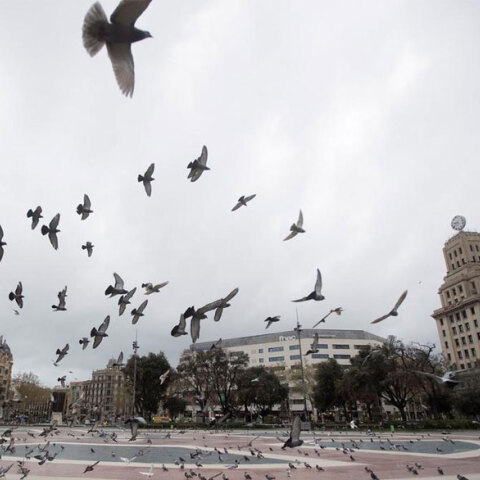 Κορωνοϊός στην Ισπανία: Άδεια από κόσμο κεντρική πλατεία στη Βαρκελώνη