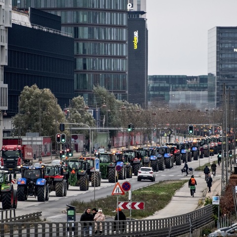 Διαμαρτυρία με τρακτέρ για τη σφαγή βιζόν στη Δανία