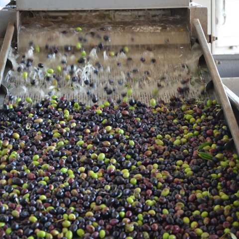 Ελαιοτριβείο