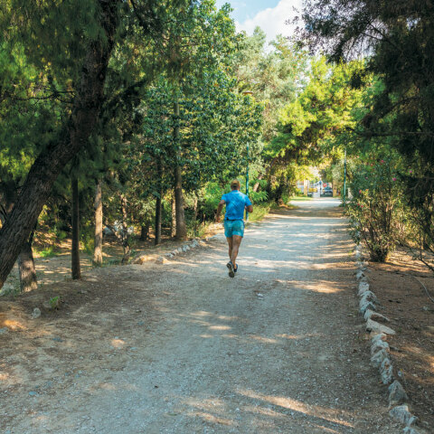 Εθνικός Κήπος