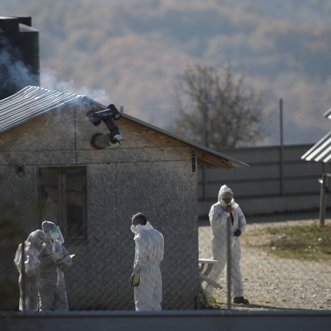 Φάρμα εκτροφής γουνοφόρων ζώων (βιζόν)