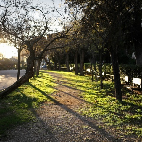 Εθνικός κήπος