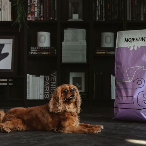 Super premium ποιότητας σκυλοτροφές από τη βραβευμένη Mojestik