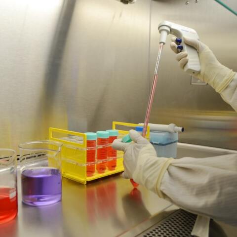 Νέες θεραπείες για ασθενείς με β-θαλασσαιμία