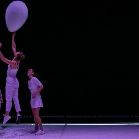 festival xorou stegi