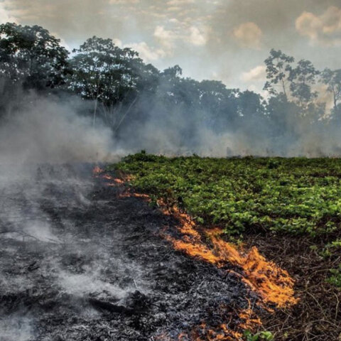Καμένες εκτάσεις στην Αμαζονία