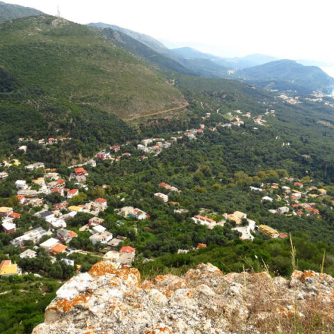 Ανθούσα Πάργας