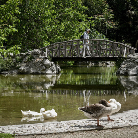 Εθνικός Κήπος (ΦΩΤΟ ΑΡΧΕΙΟΥ)