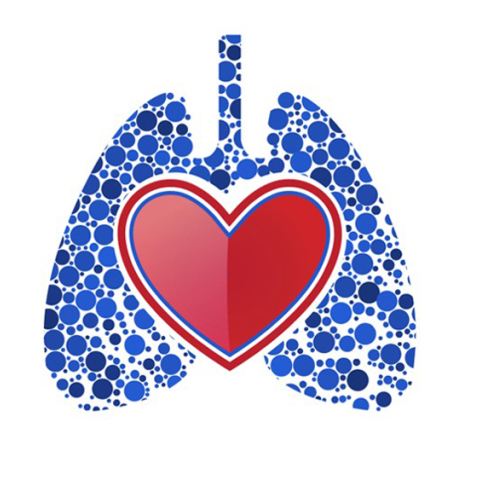 ​«ΑΝΑΣΑ ΖΩΗΣ» για την υγεία του Πνεύμονα