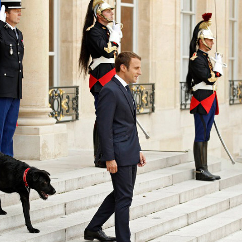  Ο πρόεδρος της Γαλλίας, Εμανουέλ Μακρόν, με τον σκύλο του, Nemo