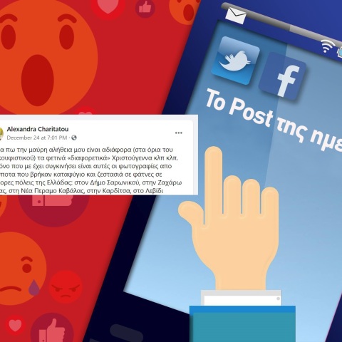 Ανάρτηση της Αλεξάνδρας Χαριτάτου στα social media για τα αδέσποτα ζώα