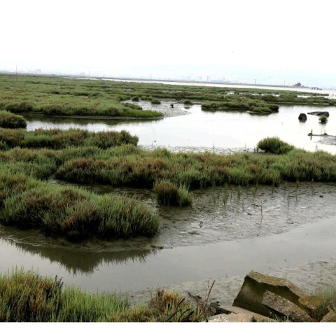 Ο γαλλικός ποταμός