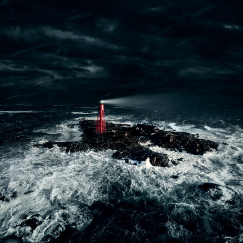 Göteborg Film Festival 