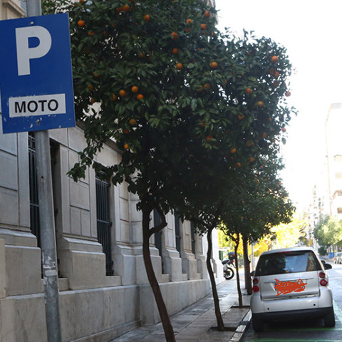 Στάθμευση - Κέντρο Αθήνας 