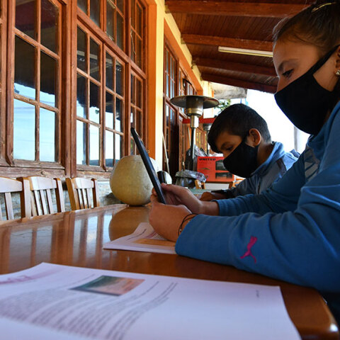 Μαθητές δημοτικού στην Ηλεία κάνουν τηλεκπαίδευση σε καφενείο - Ανοίγουν τα δημοτικά αύριο Δευτέρα 11 Ιανουαρίου 2021