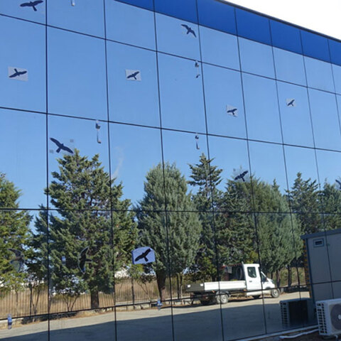 Γυάλινο κτίριο στην Κομοτηνή όπου τοποθετήθηκαν φωτογραφίες από αρπακτικά πουλιά, προκειμένου να μειωθούν οι προσκρούσεις πτηνών