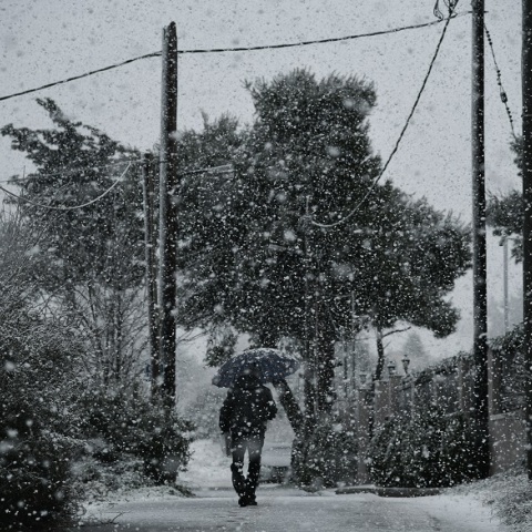 Χιονόπτωσεις