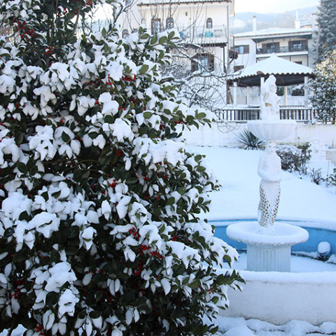  ΚΑΚΟΚΑΙΡΙΑ ΛΕΑΝΔΡΟΣ / ΧΙΟΝΙΑ ΣΤΟ ΧΟΡΤΙΑΤΗ ΘΕΣΣΑΛΟΝΙΚΗΣ 