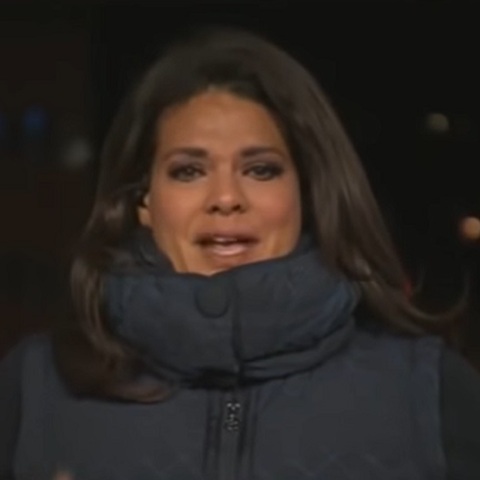 H δημοσιογράφος, Σάρα Σίντνερ 