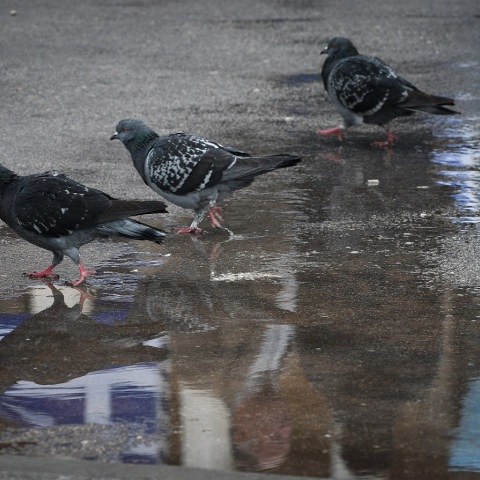 Συγκέντρωση κατά της συμφωνίας των Πρεσπών, στο Σύνταγμα