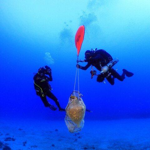  Aρχαίο ναυάγιο στην Κάσο