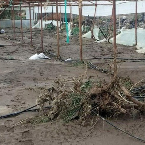 Λέσβος - Βροχοπτώσεις 