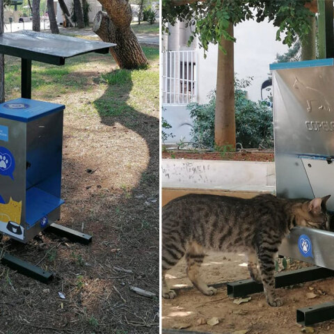 Δήμος Αθηναίων: Ταΐστρα για τα αδέσποτα