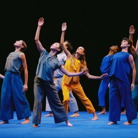 Human Behaviour, Plan B