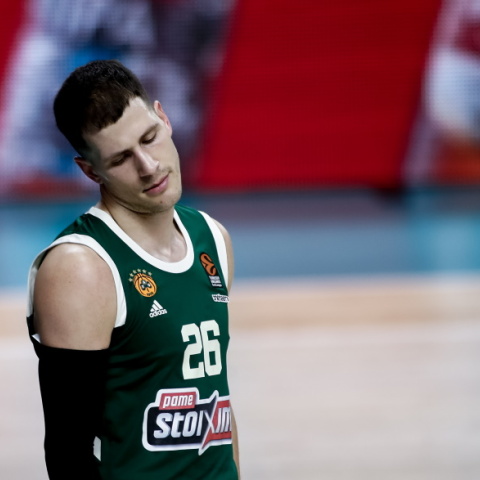 nedovic-pao.jpg
