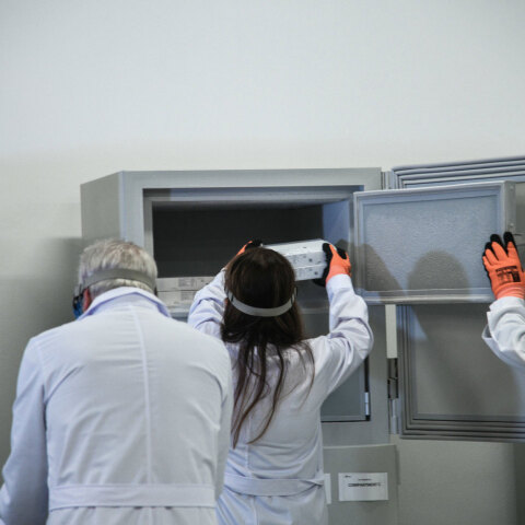 Εμβόλια των Pfizer/BioNTech για τον κορωνοϊό στην Ελλάδα τοποθετούνται σε ειδικά ψυγεία