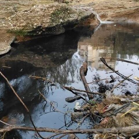 Ρέμα Πικροδάφνης
